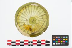 Foto von Glasrippenschale (NHMW-PRAE-025231)